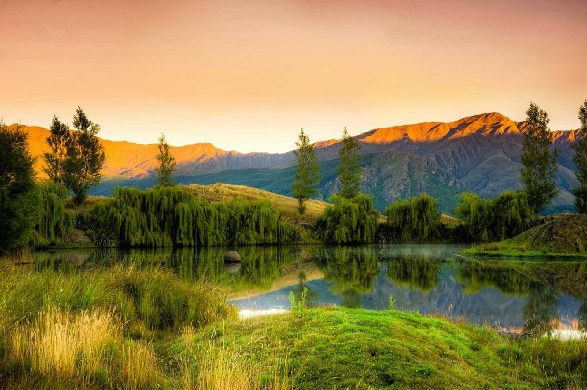 Derfor skal du til smukke New Zealand