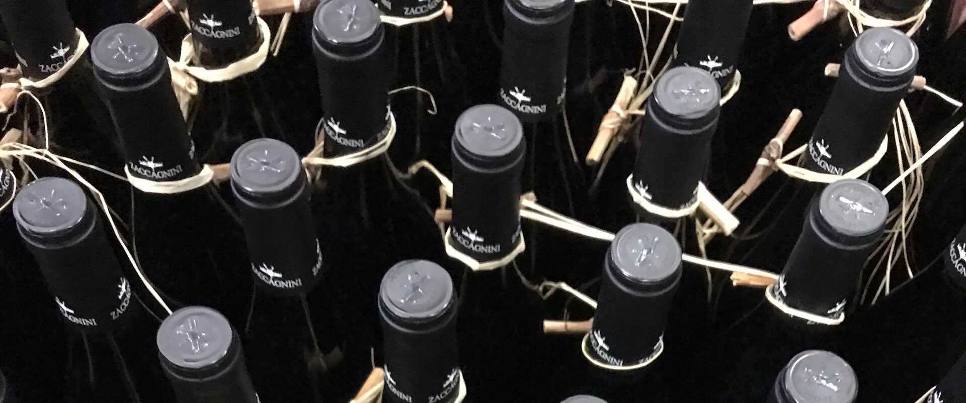 På vingård besøg i Abruzzo