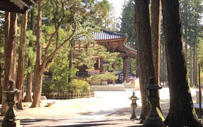 Guide til Koyasan