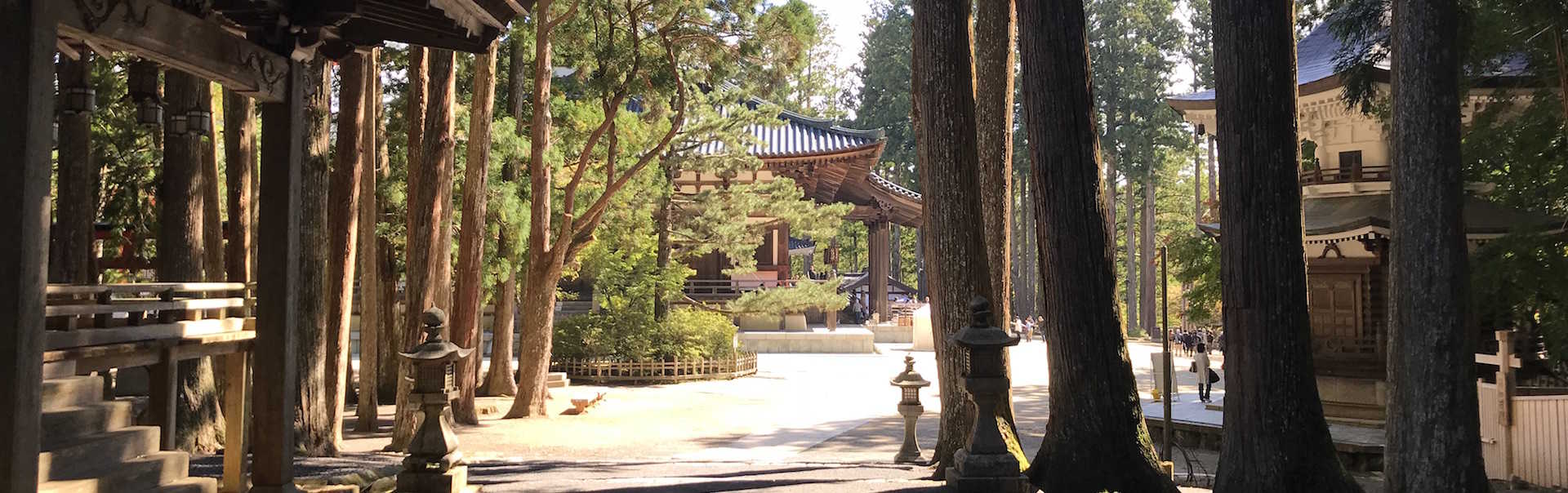 Guide til Koyasan