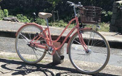 På cykel rundt i Nara