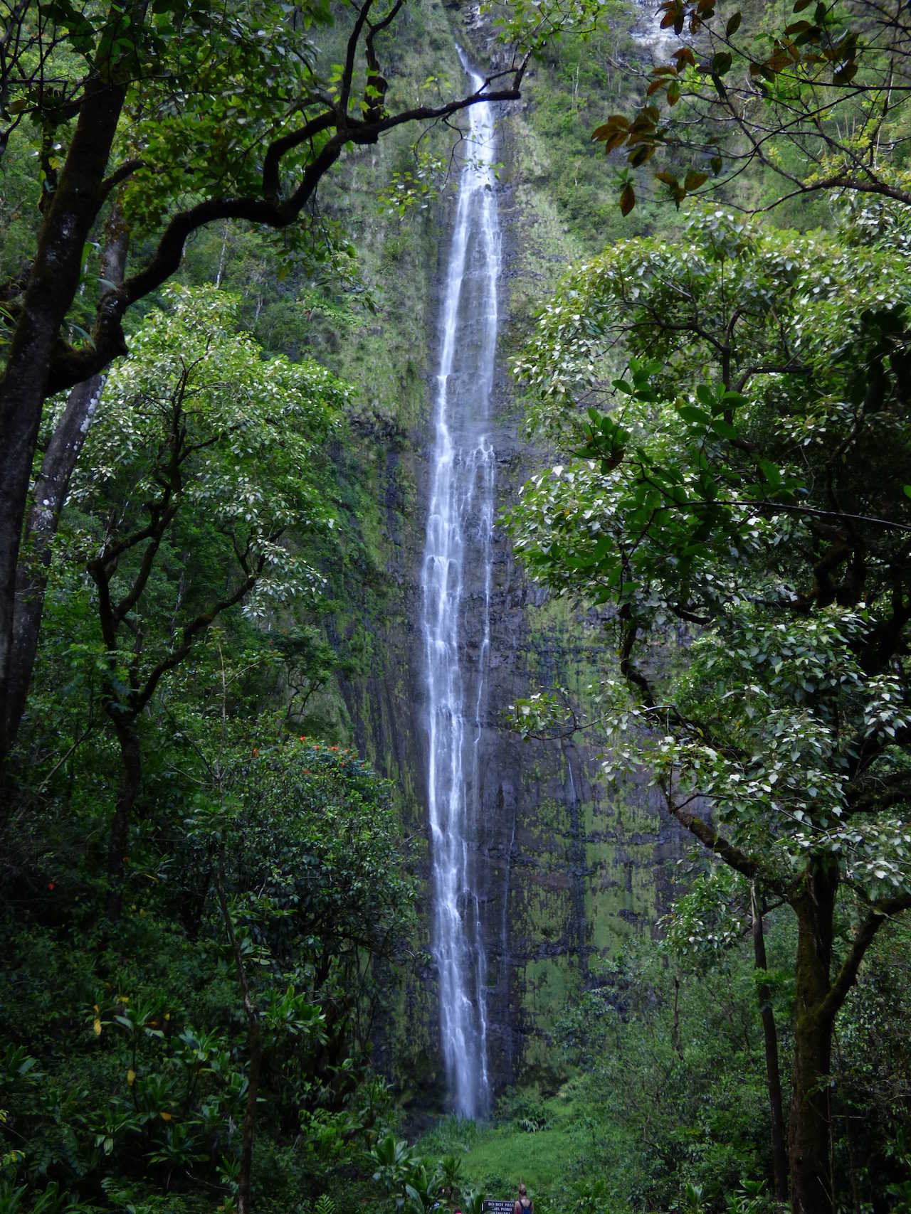 Lulumahu-Falls-Trail-Oahu