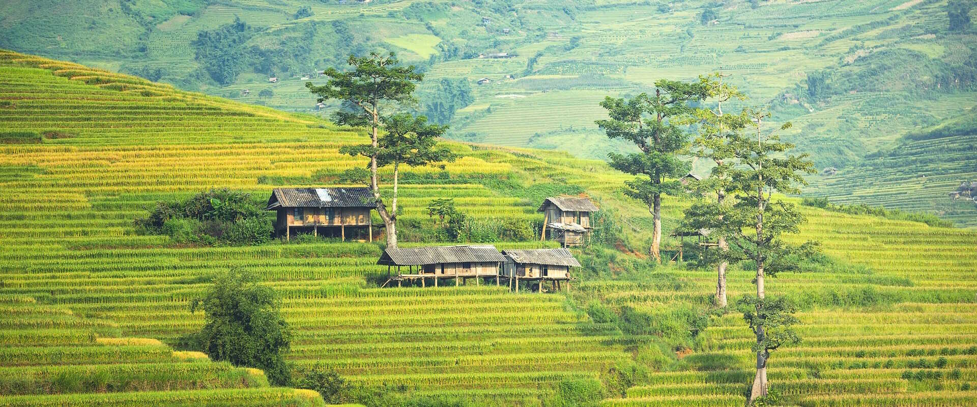 Guide til Bali