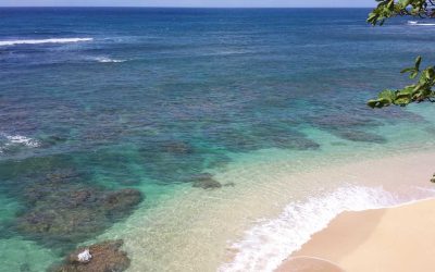 Hawaii er meget mere end magiske sandstrande