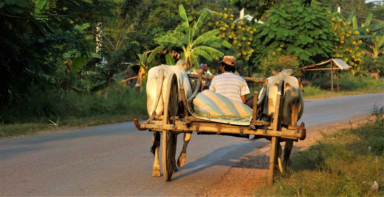 Guide til Battambang
