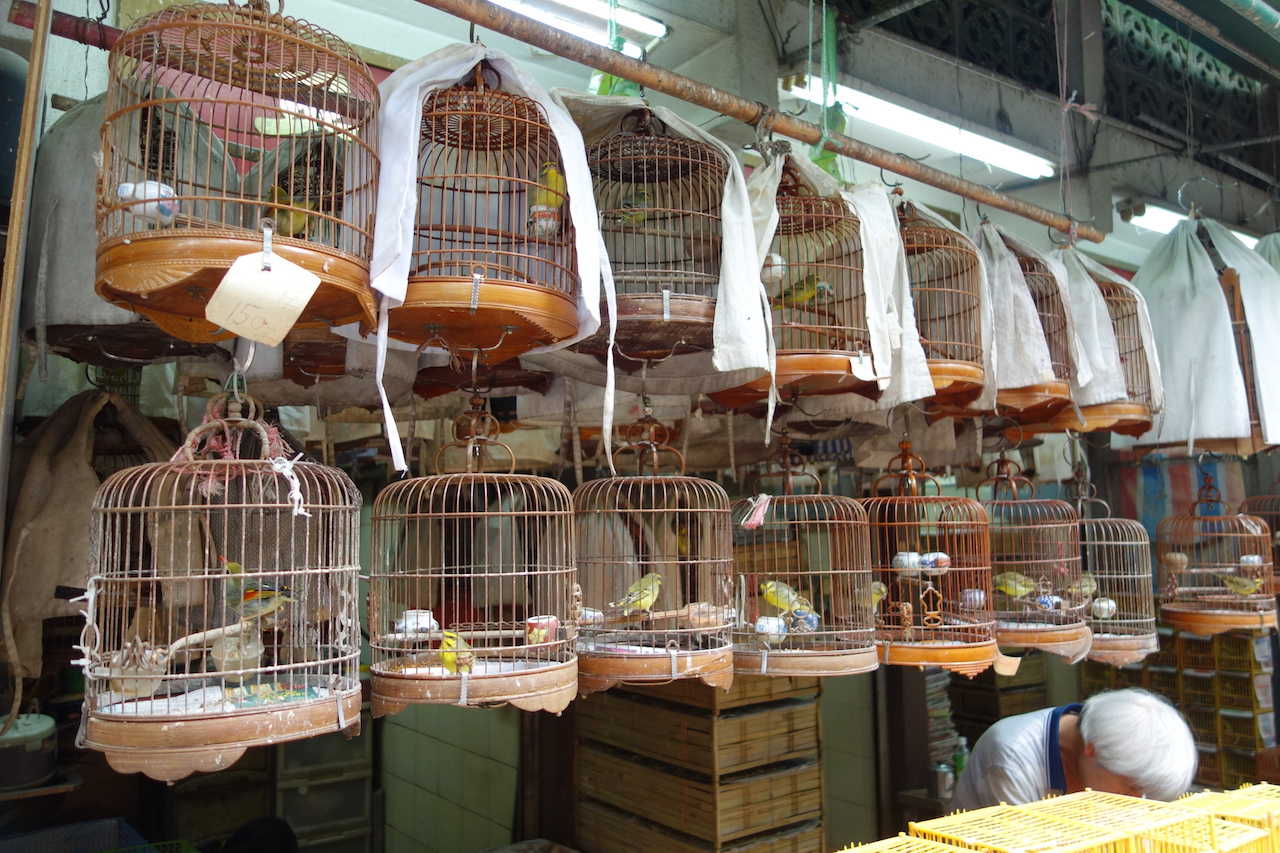 Bird Market - Kowloon