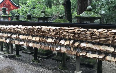Guide til Nara