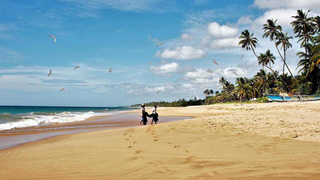 Strande - Miniguide til Sri Lanka