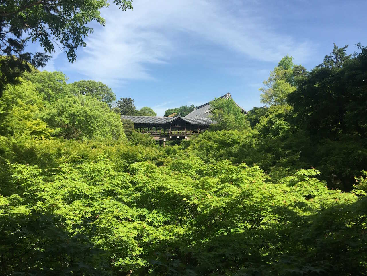 Guan træbro - Sydlige Kyoto