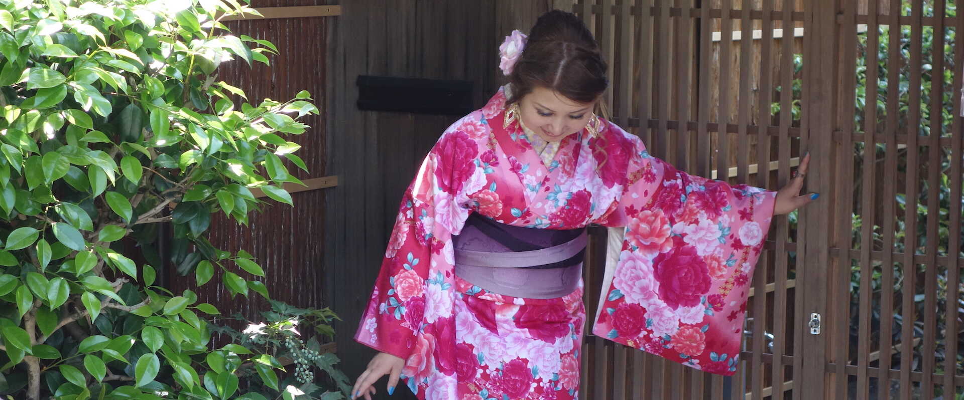 Godt at vide om Japan