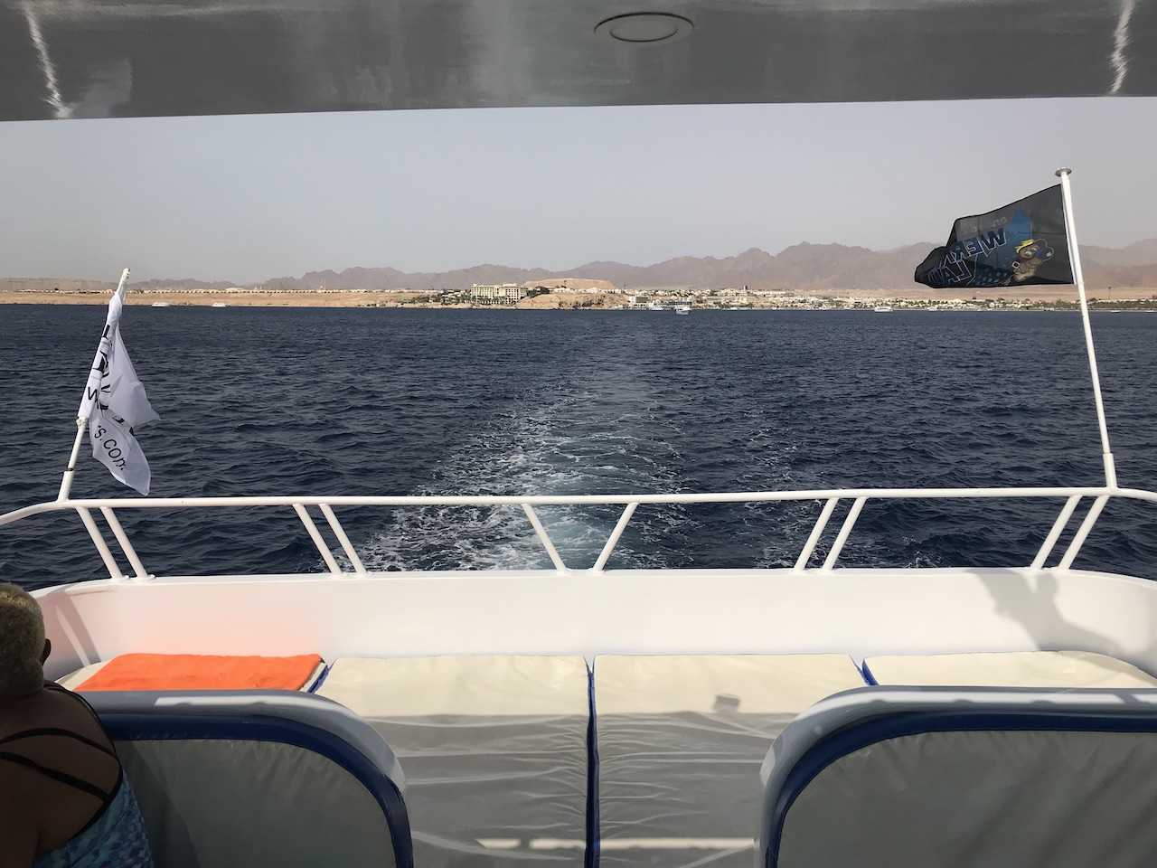 Snorkling, dykning og frokost i Sharm el Sheikh