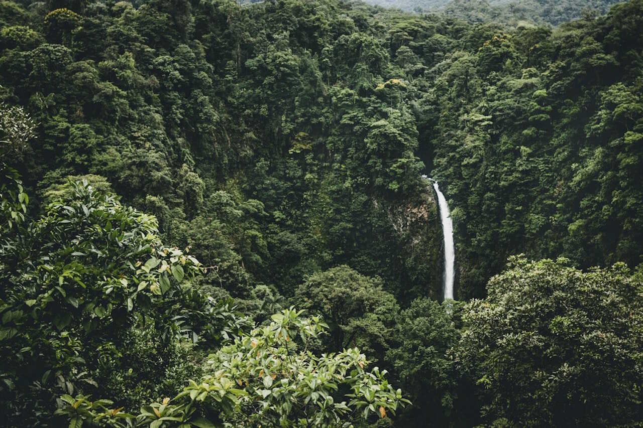 Costa Rica Monteverde - På eventyr i Latinamerika
