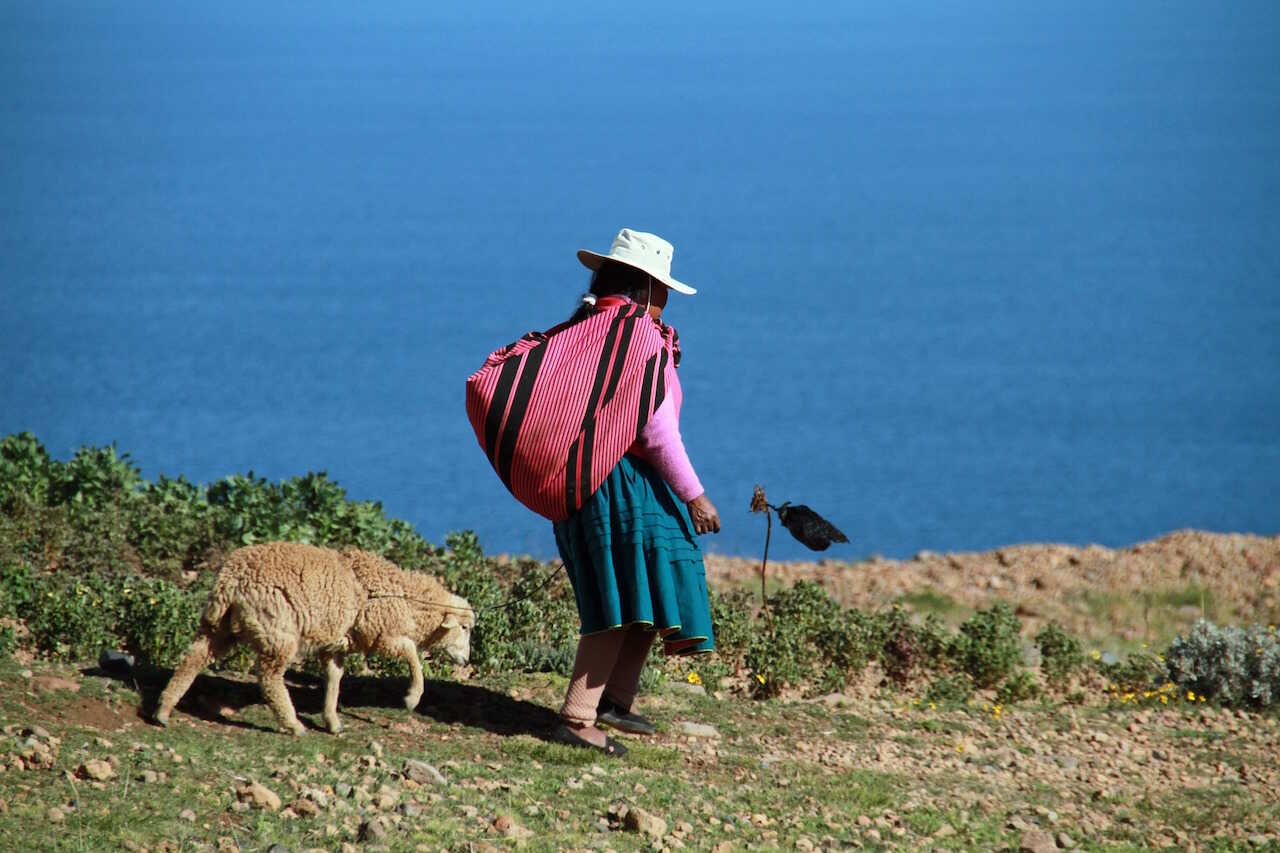 Titicaca søen i Peru - På eventyr i Latinamerika