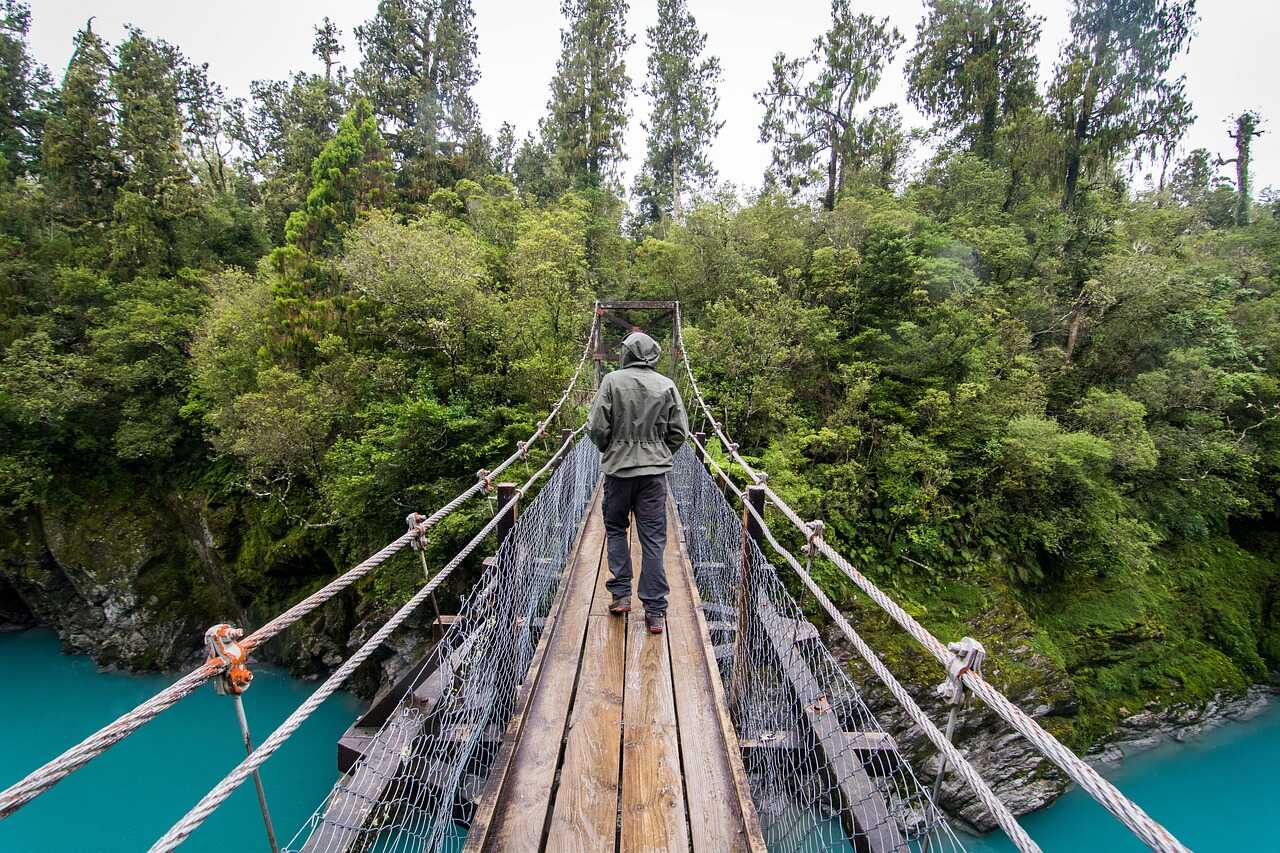 Hængebro i New Zealand natur