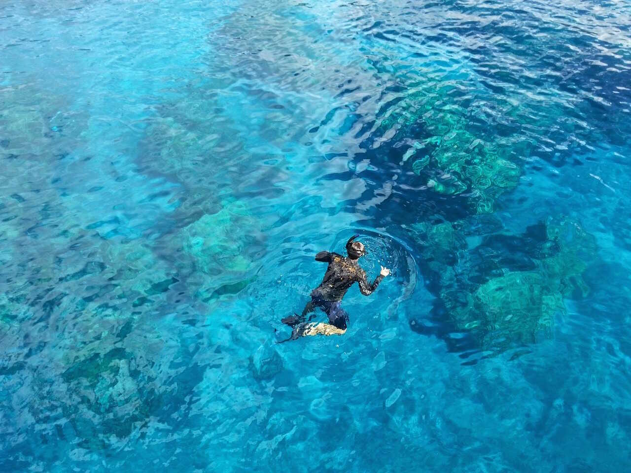 Snorkling - Dykning på Maldiverne